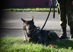 Szkolenie specjalistyczne z zakresu kynologii służbowej przewodników psów tropiąco-patrolowych