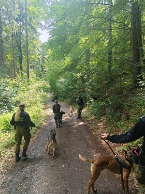 Szkolenie specjalistyczne z zakresu kynologii służbowej przewodników psów tropiąco-patrolowych