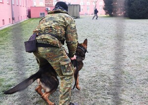 Tropienie i patrol – specjalistyczne szkolenie przewodników psów służbowych Tropienie i patrol – specjalistyczne szkolenie przewodników psów służbowych