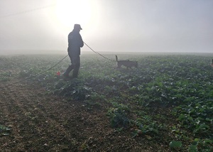 Tropienie i patrol – specjalistyczne szkolenie przewodników psów służbowych Tropienie i patrol – specjalistyczne szkolenie przewodników psów służbowych