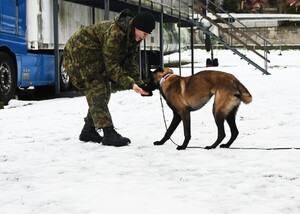 Rozpoczęcie szkolenia specjalistycznego z zakresu kynologii służbowej przewodników psów tropiąco - patrolowych Rozpoczęcie szkolenia specjalistycznego z zakresu kynologii służbowej przewodników psów tropiąco - patrolowych
