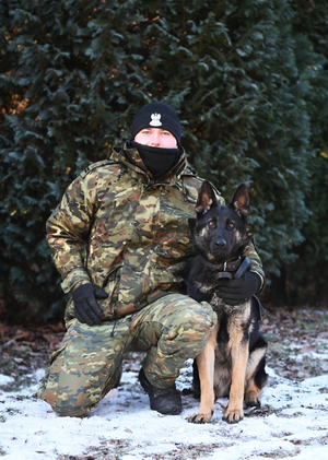 Funkcjonariusz Nadbużańskiego Oddziału SG z psem COLA Funkcjonariusz Nadbużańskiego Oddziału SG z psem COLA