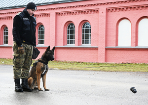 Zakończenie kursów doskonaląco-atestacyjnych przewodników psów tropiących, tropiąco-patrolowych i patrolowo-obronnych. Zakończenie kursów doskonaląco-atestacyjnych przewodników psów tropiących, tropiąco-patrolowych i patrolowo-obronnych.
