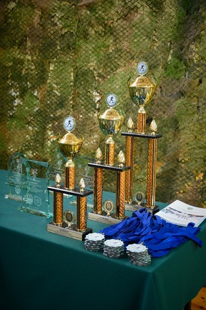 XVII Mistrzostwa Straży Granicznej w Narciarstwie Biegowym XVII Mistrzostwa Straży Granicznej w Narciarstwie Biegowym