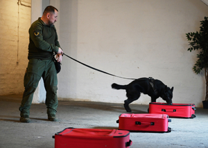 Procedura zatwierdzenia zespołów z PWMW Procedura zatwierdzenia zespołów z PWMW