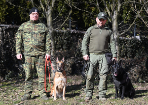 Procedura zatwierdzenia zespołów z PWMW Procedura zatwierdzenia zespołów z PWMW