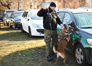 Procedura zatwierdzenia zespołów z PWMW Procedura zatwierdzenia zespołów z PWMW