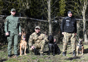 Procedura zatwierdzenia zespołów z PWMW Procedura zatwierdzenia zespołów z PWMW