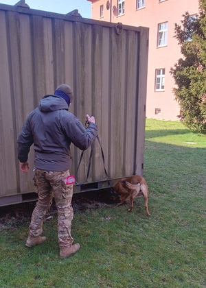 Szkolą się u nas policyjne psy służbowe Szkolą się u nas policyjne psy służbowe