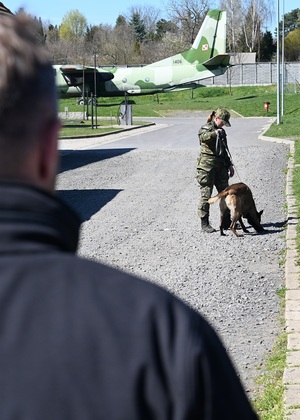 Szkolenie nt. "Tropienia po twardych nawierzchniach" Szkolenie nt. "Tropienia po twardych nawierzchniach"
