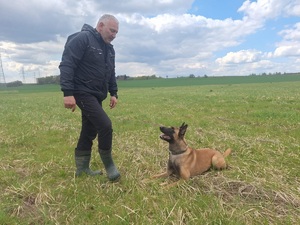 Doskonalimy umiejętności z technik szkolenia psów Doskonalimy umiejętności z technik szkolenia psów