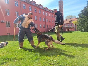 Kadra dydaktyczna Zakładu Kynologii podnosi swoje kwalifikacje Kadra dydaktyczna Zakładu Kynologii podnosi swoje kwalifikacje