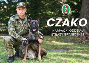 FUNKCJONARIUSZ KARPACKIEGO ODDZIAŁU SG Z PSEM CZAKO 