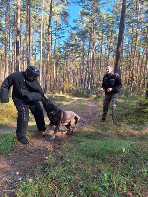 Kurs doskonaląco-atestacyjny dla psów tropiących, patrolowych oraz tropiąco-patrolowych Kurs doskonaląco-atestacyjny dla psów tropiących, patrolowych oraz tropiąco-patrolowych