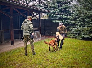 Kurs doskonalący instruktorów-selekcjonerów psów tropiąco-patrolowych Kurs doskonalący instruktorów-selekcjonerów psów tropiąco-patrolowych